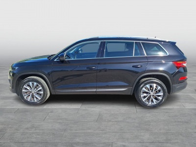 Skoda Kodiaq Gebrauchtwagen Skoda Kodiaq Gebrauchtwagen
