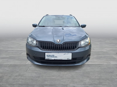 Skoda Fabia Gebrauchtwagen Skoda Fabia Gebrauchtwagen
