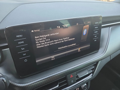 Skoda Scala Gebrauchtwagen Skoda Scala Gebrauchtwagen