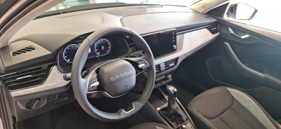 Skoda Kamiq Gebrauchtwagen Skoda Kamiq Gebrauchtwagen