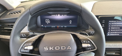 Skoda Kamiq Gebrauchtwagen Skoda Kamiq Gebrauchtwagen