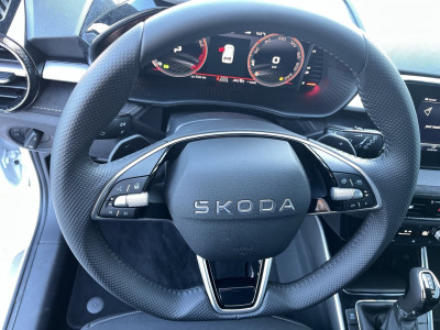 Skoda Fabia Gebrauchtwagen Skoda Fabia Gebrauchtwagen