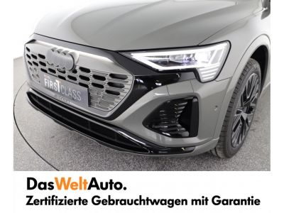 Audi Q8 e-tron Gebrauchtwagen