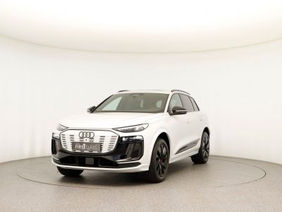 Audi Q6 e-tron Gebrauchtwagen