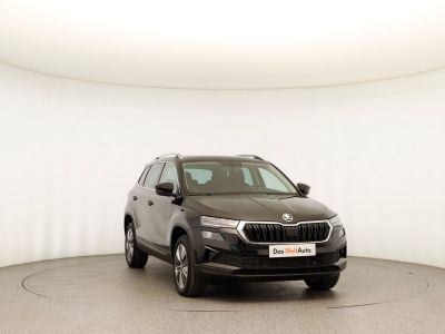 Skoda Karoq Gebrauchtwagen