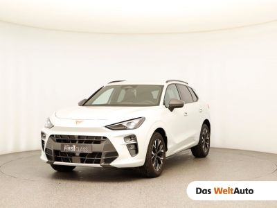 Cupra Terramar Gebrauchtwagen Cupra Terramar Gebrauchtwagen