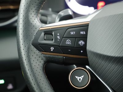 Cupra Terramar Gebrauchtwagen