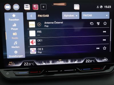 Cupra Terramar Gebrauchtwagen