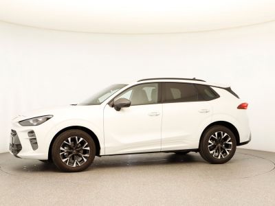 Cupra Terramar Gebrauchtwagen