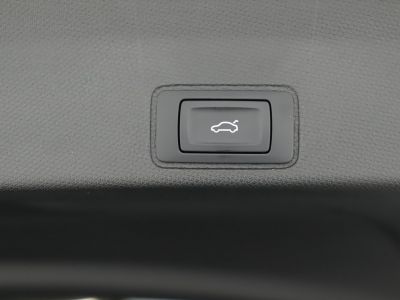 Cupra Terramar Gebrauchtwagen