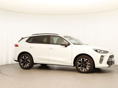 Cupra Terramar Gebrauchtwagen