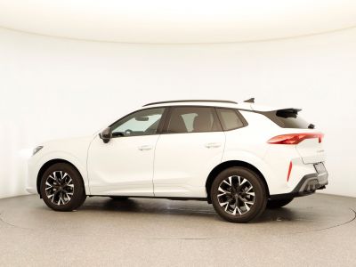 Cupra Terramar Gebrauchtwagen