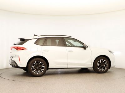 Cupra Terramar Gebrauchtwagen