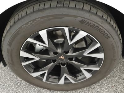 Cupra Terramar Gebrauchtwagen