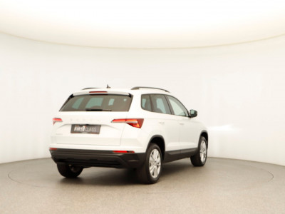 Skoda Karoq Gebrauchtwagen