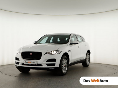Jaguar F-Pace Gebrauchtwagen