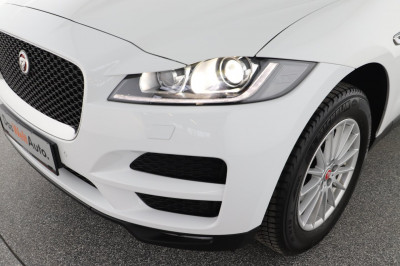 Jaguar F-Pace Gebrauchtwagen