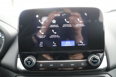 Ford EcoSport Gebrauchtwagen