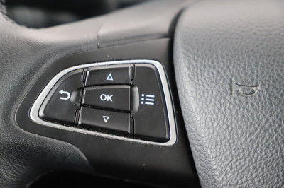 Ford EcoSport Gebrauchtwagen