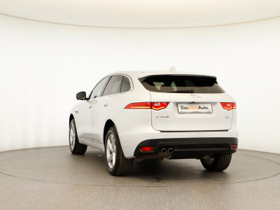 Jaguar F-Pace Gebrauchtwagen