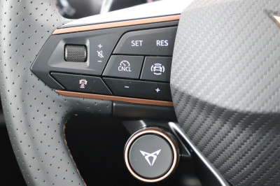 Cupra Formentor Gebrauchtwagen Cupra Formentor Gebrauchtwagen
