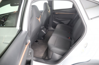 Cupra Tavascan Gebrauchtwagen
