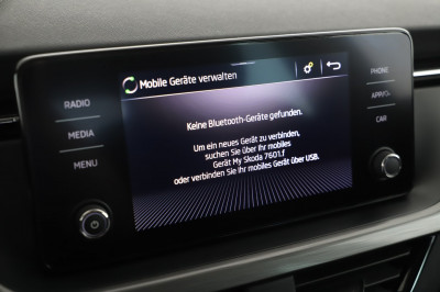 Skoda Kamiq Gebrauchtwagen