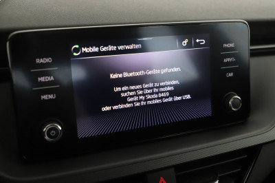 Skoda Kamiq Gebrauchtwagen