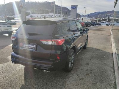 Ford Kuga Neuwagen