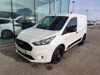 Ford Transit Tageszulassung