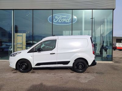 Ford Transit Tageszulassung