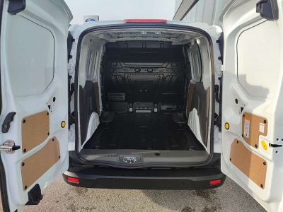 Ford Transit Tageszulassung