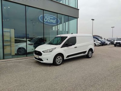 Ford Transit Tageszulassung