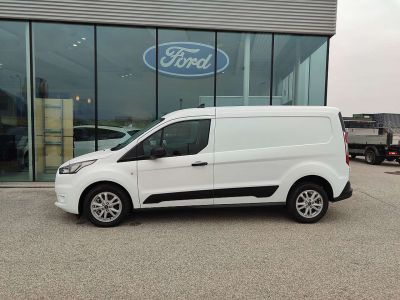 Ford Transit Tageszulassung