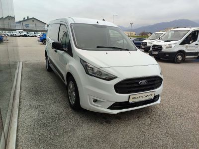 Ford Transit Tageszulassung