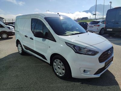 Ford Transit Tageszulassung