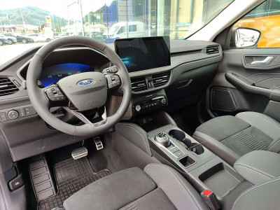 Ford Kuga Vorführwagen