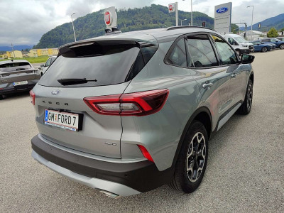 Ford Kuga Vorführwagen