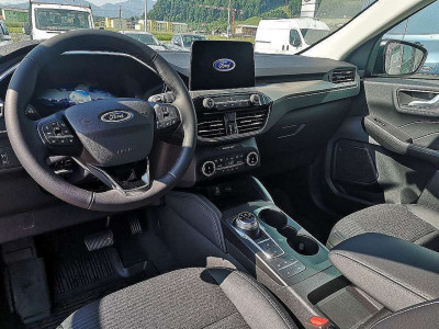 Ford Kuga Vorführwagen