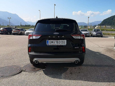 Ford Kuga Vorführwagen