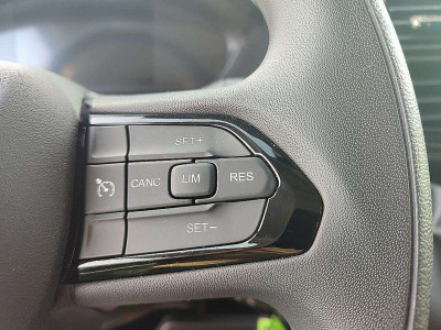 Fiat Ducato Gebrauchtwagen