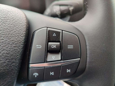 Ford Transit Neuwagen