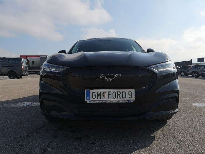 Ford Mustang Mach-E Vorführwagen
