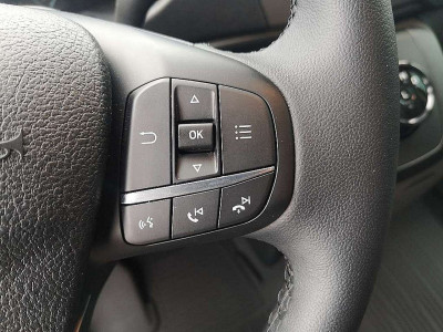 Ford Transit Vorführwagen