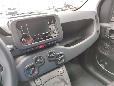 Fiat Panda Vorführwagen