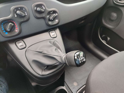 Fiat Panda Vorführwagen