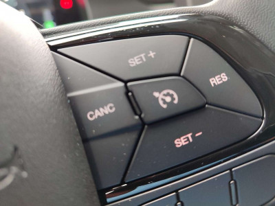 Fiat Panda Vorführwagen