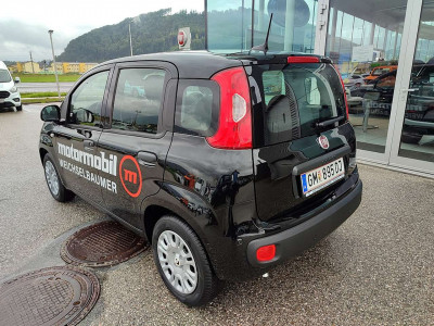 Fiat Panda Vorführwagen