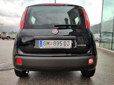 Fiat Panda Vorführwagen