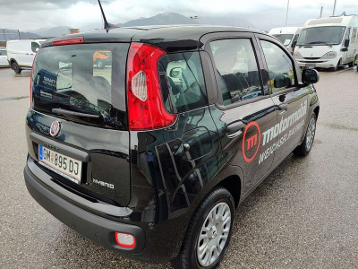 Fiat Panda Vorführwagen